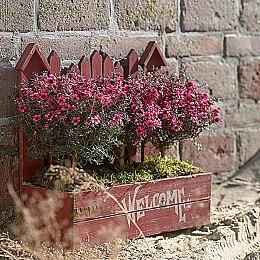 《泰拉瑞亚》下个更新明年才能推出：不想让团队加班